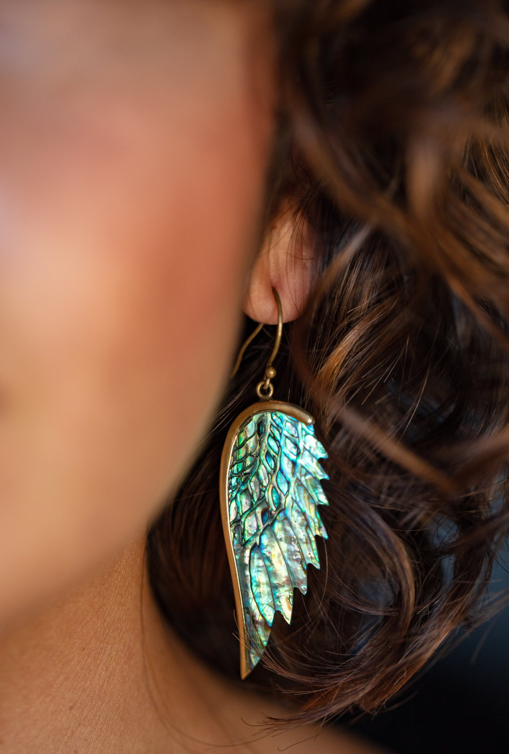 Aretes de alas